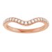 Halo-Style Engagement Ring or Band