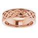 Infinity-Inspired Flat Band