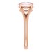 Split-Shank Ring