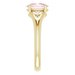 Split-Shank Ring