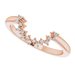 Halo-Style Engagement Ring or Band
