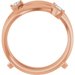 Bypass Ring Guard