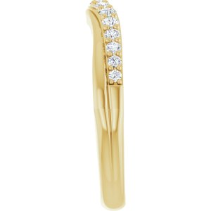 Accented Contour Band