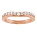 Accented Contour Band