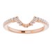 Halo-Style Engagement Ring or Band