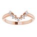 Halo-Style Engagement Ring or Band