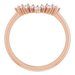 Halo-Style Engagement Ring or Band