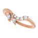 Accented Contour Band
