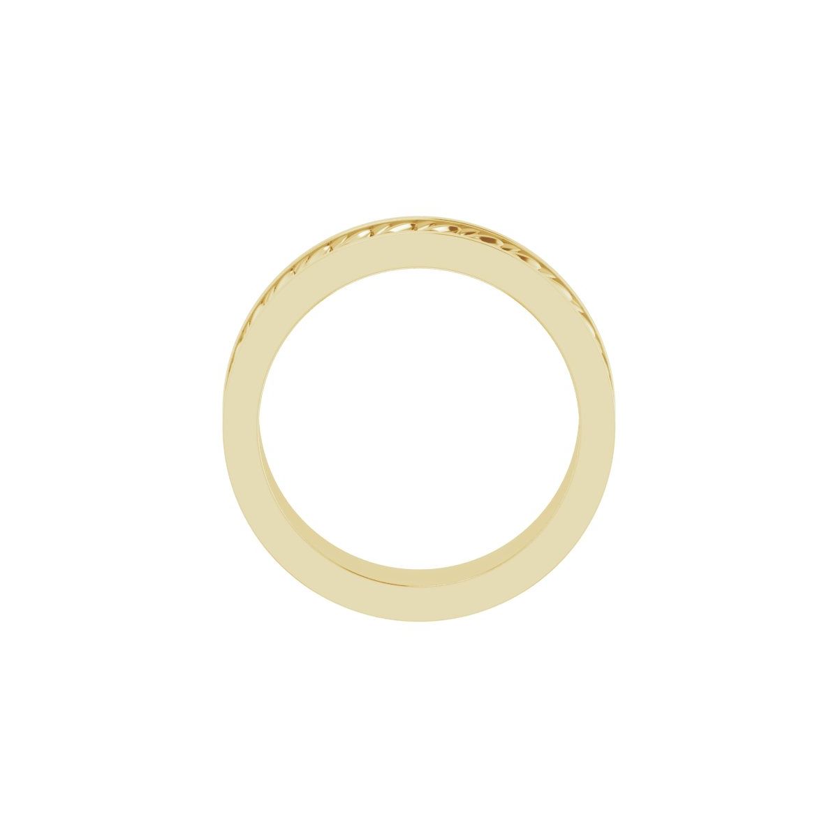 Scale Patterned Band