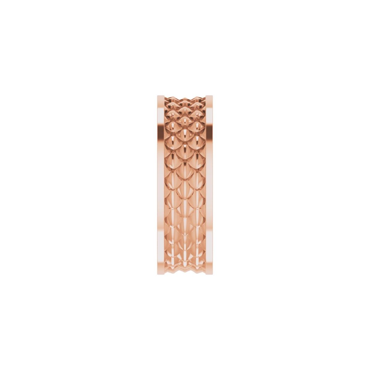 Scale Patterned Band