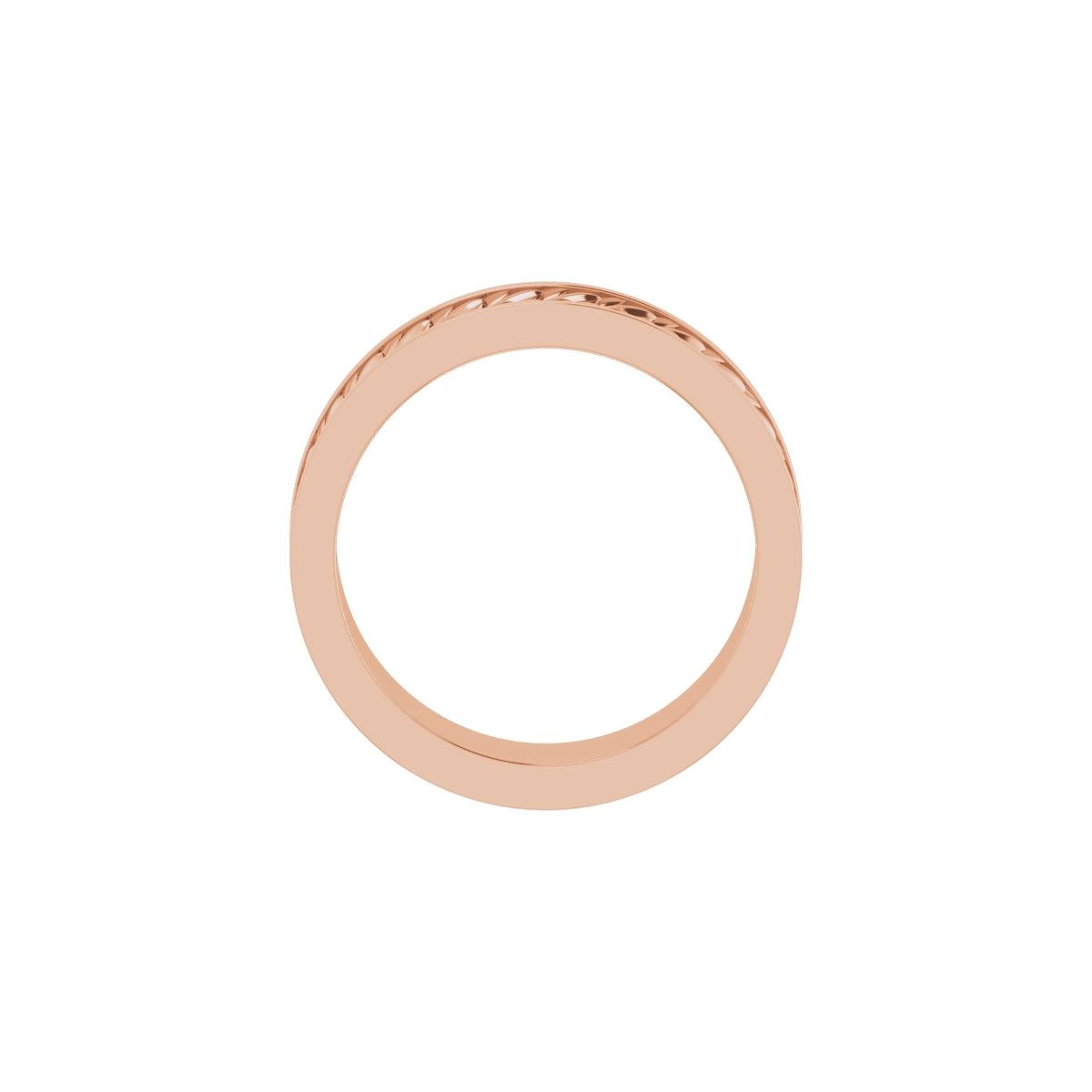 Scale Patterned Band