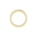 Scale Patterned Band