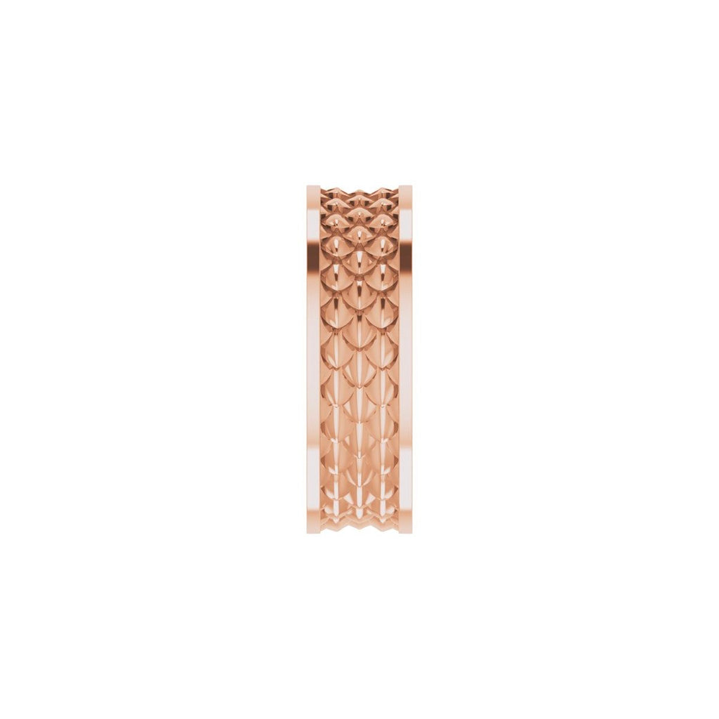 Scale Patterned Band