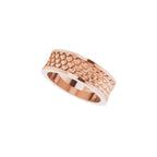 Scale Patterned Band