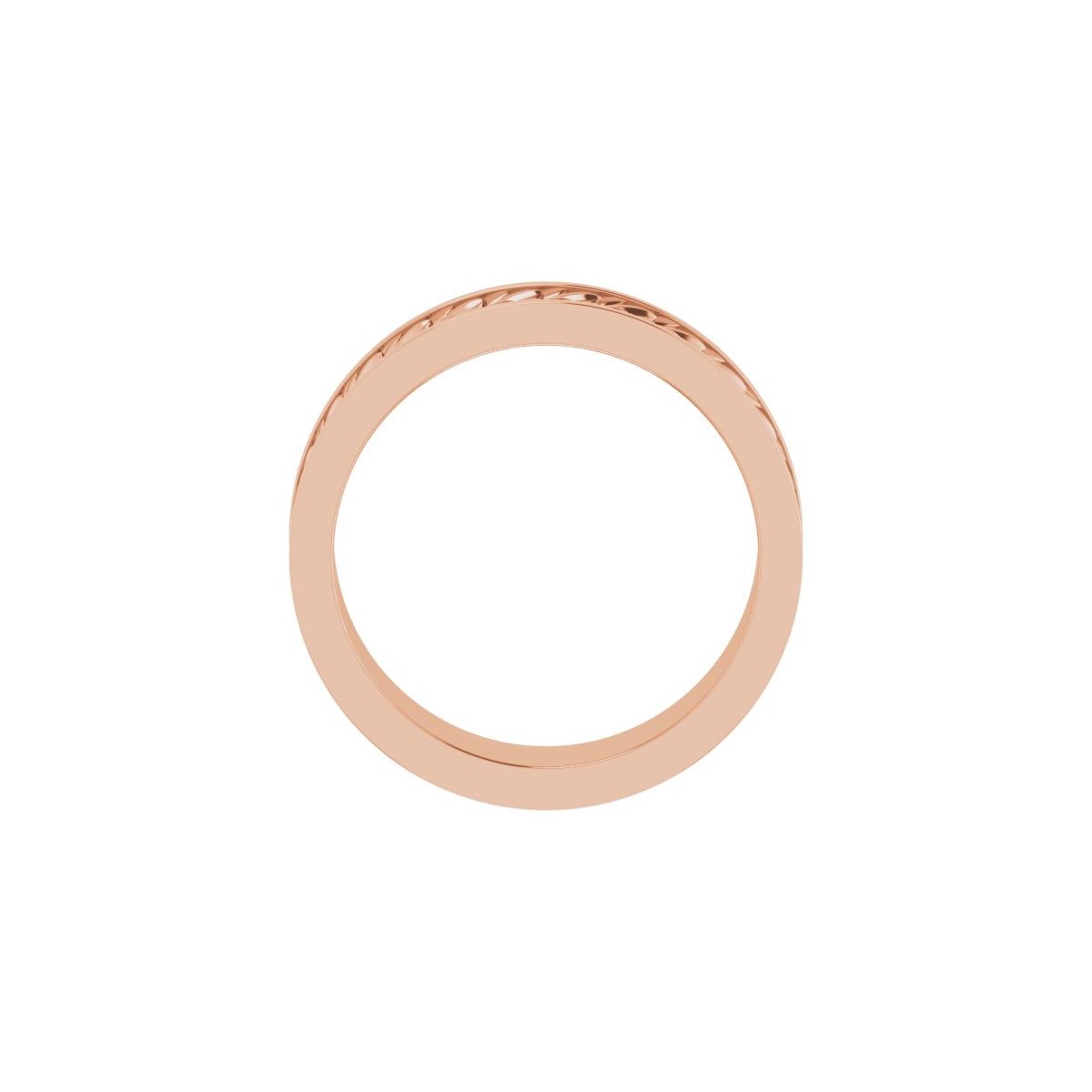 Scale Patterned Band