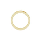 Scale Patterned Band