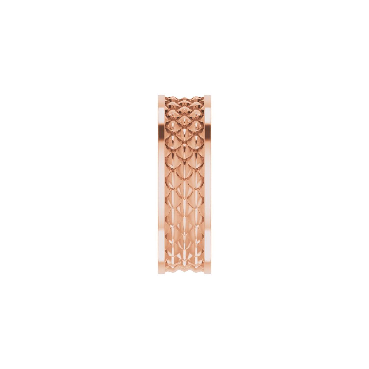Scale Patterned Band