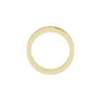 Scale Patterned Band