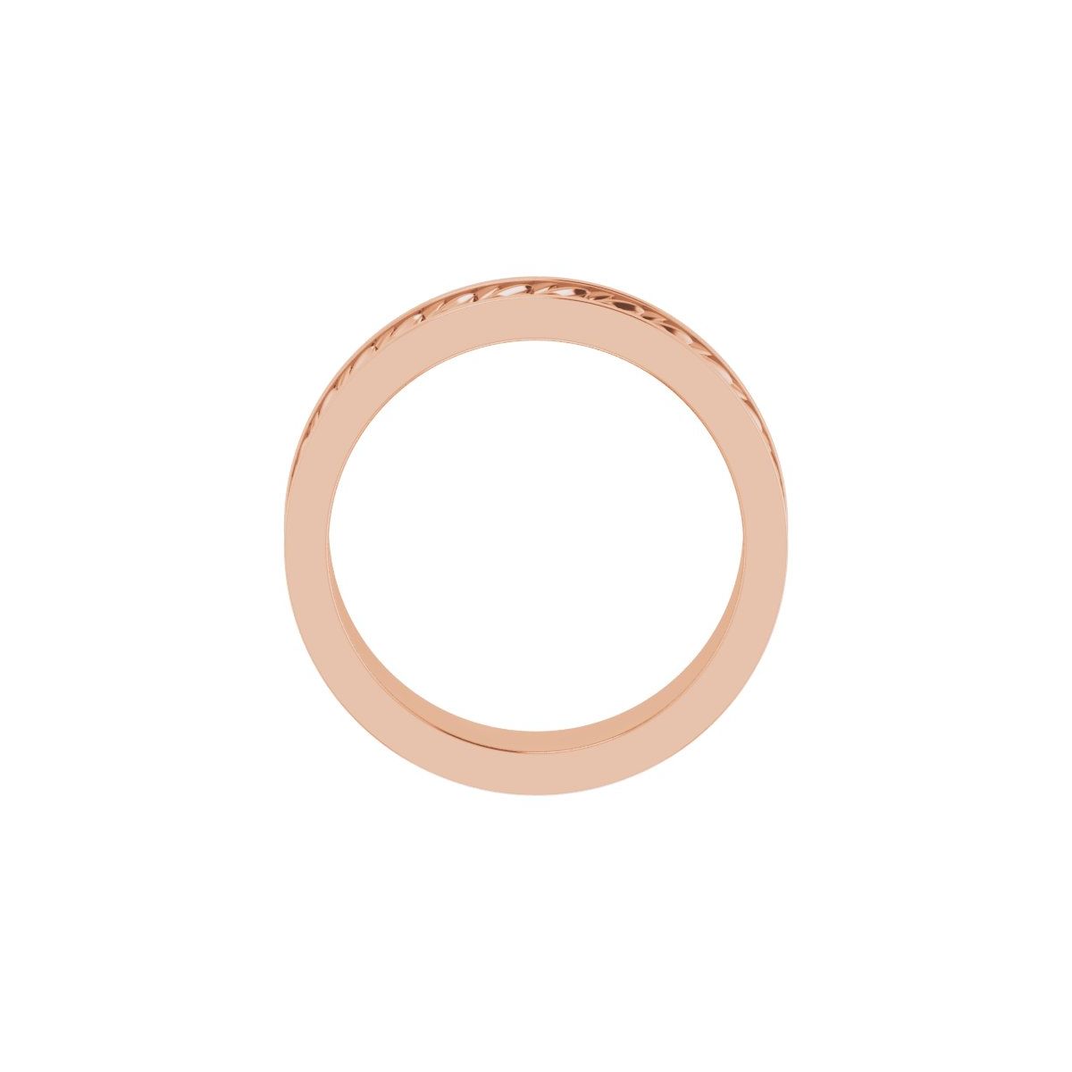 Scale Patterned Band