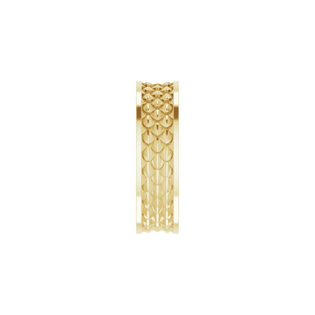 Scale Patterned Band