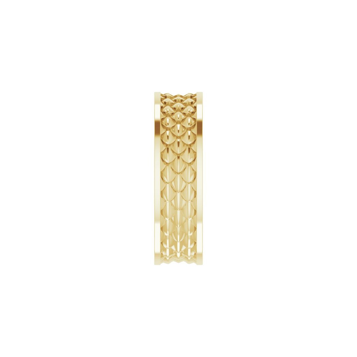 Scale Patterned Band