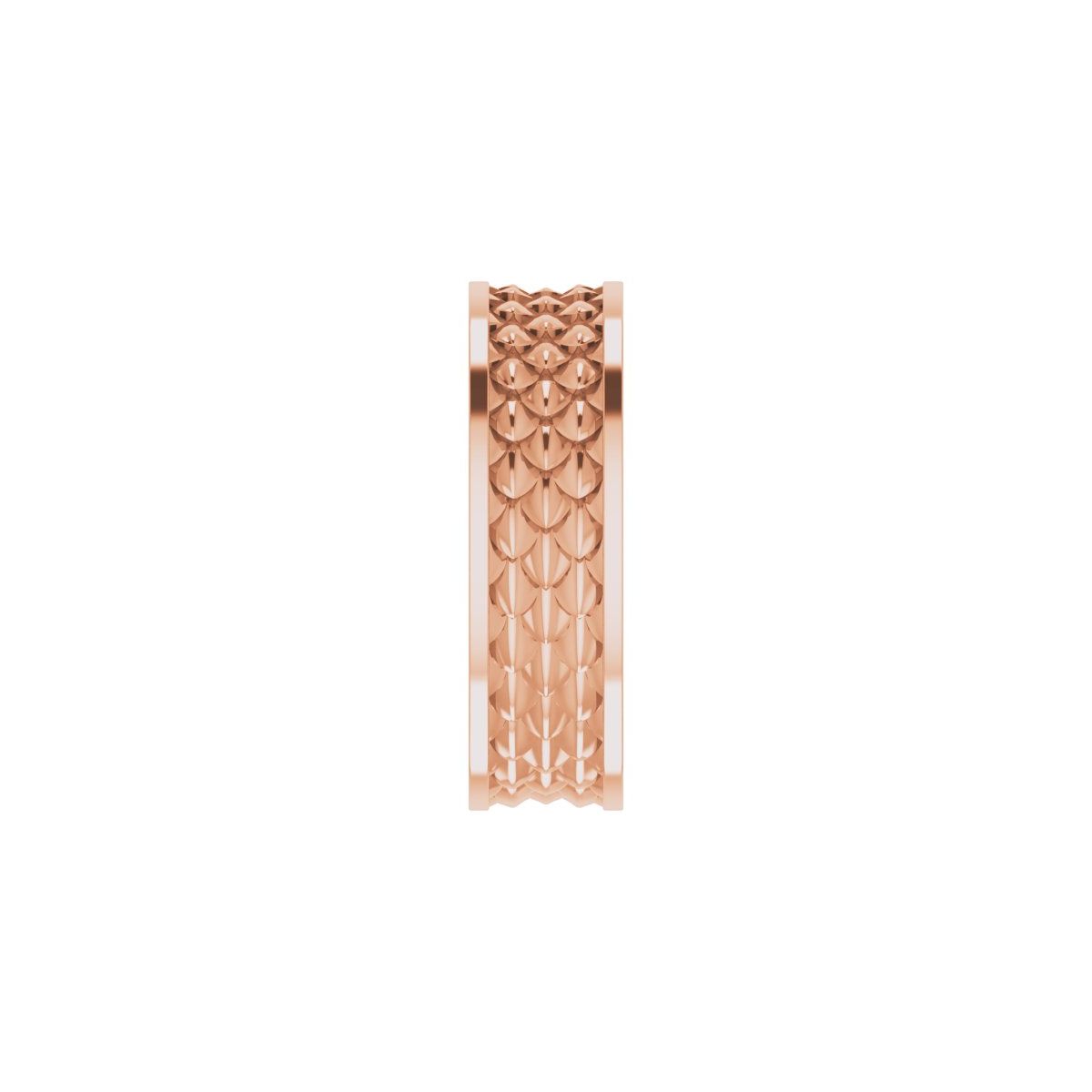 Scale Patterned Band