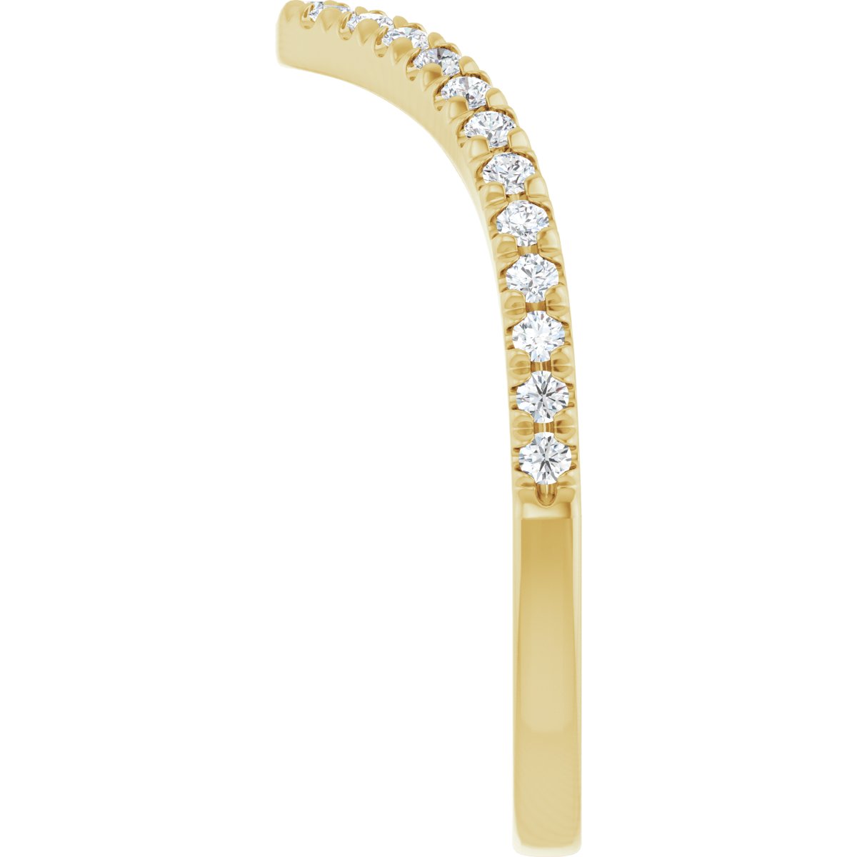 Accented Contour Band