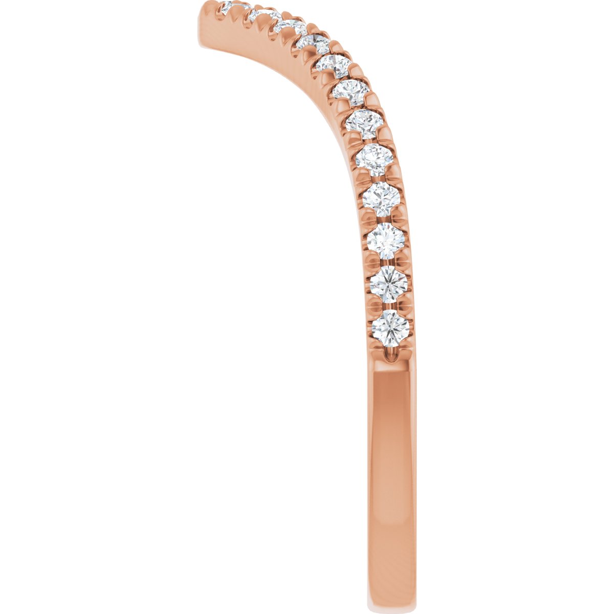 Accented Contour Band
