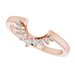 Halo-Style Floral Engagement Ring or Band