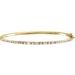 Accented Bangle Bracelet