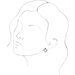 Accented Geometric Earrings