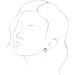 Accented Geometric Earrings