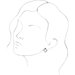 Accented Geometric Earrings