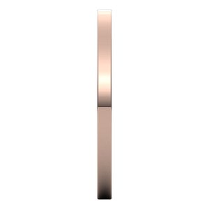 Flat Band