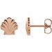 Tiny Shell Earrings