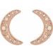 Crescent Moon Earrings