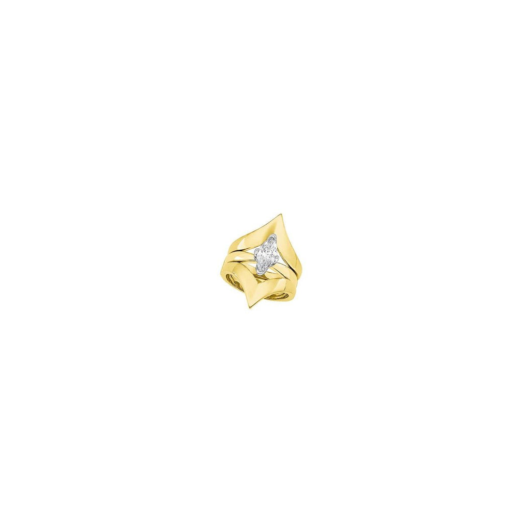 V Ring Guard