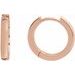 Hinged Hoop Earrings