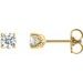 Round 4-Prong Stud Earrings
