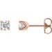 Round 4-Prong Stud Earrings