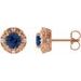 Round 4-Prong Halo-Style Earrings