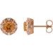 Round 4-Prong Halo-Style Earrings