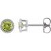 Round Bezel-Set Stud Earrings