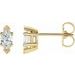 Marquise 6-Prong V-End Stud Earrings