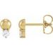 Accented Bead Earrings