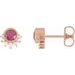 Accented Earrings