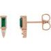 Accented Bar Earrings