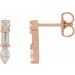 Multi-Shape Bar Earrings
