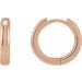 Hinged Hoop Earrings
