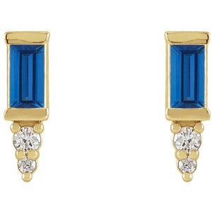 Accented Bar Earrings